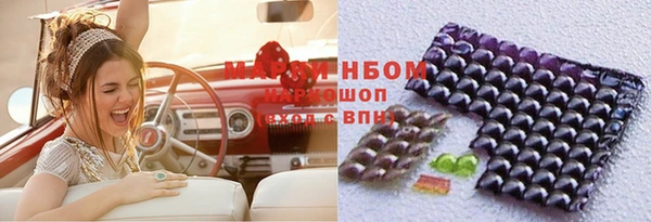 ПСИЛОЦИБИНОВЫЕ ГРИБЫ Осинники