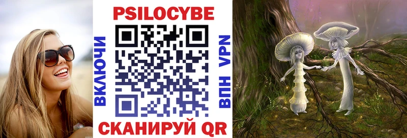 Купить  Александров  Галлюциногенные грибы мухоморы 